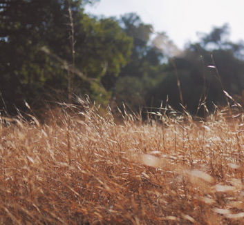 诺维奇新赛季目标清晰，团结一心争取胜利